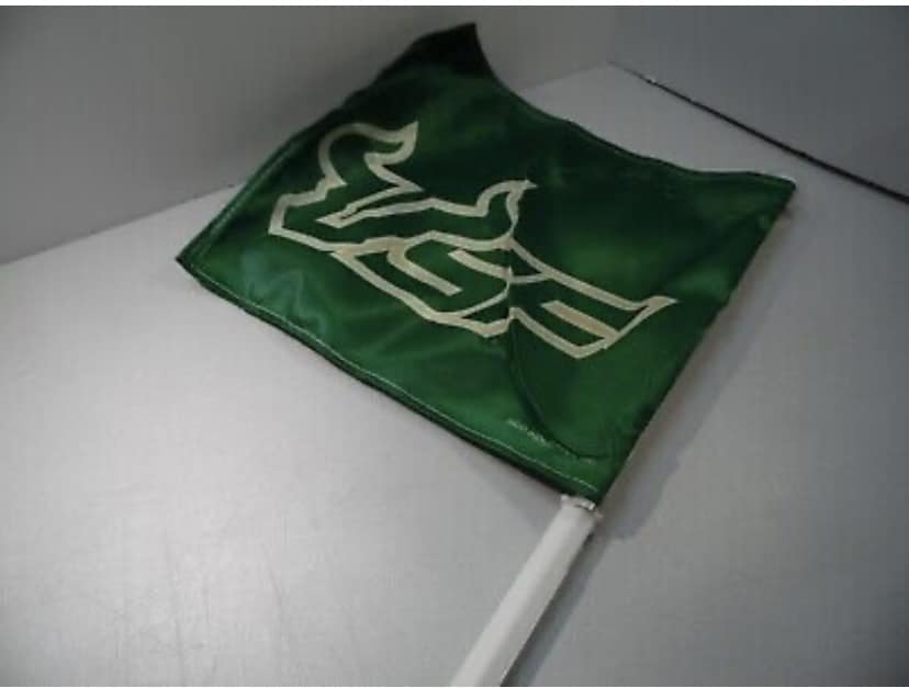 South Florida USF Bulls 11X14 2-Sided Car Flag Double Stitched