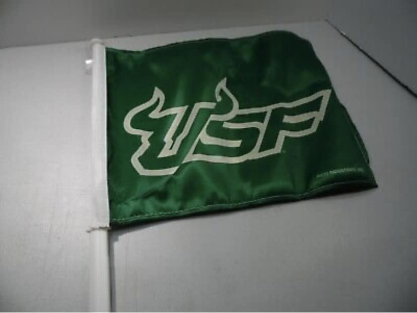 South Florida USF Bulls 11X14 2-Sided Car Flag Double Stitched