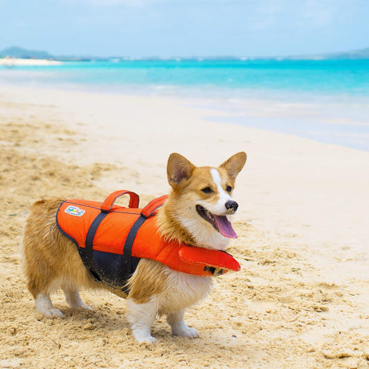 Dog Pet Apparel Granby Flotation Nylon Orange Life Jacket Vest for Small Dog Size Small