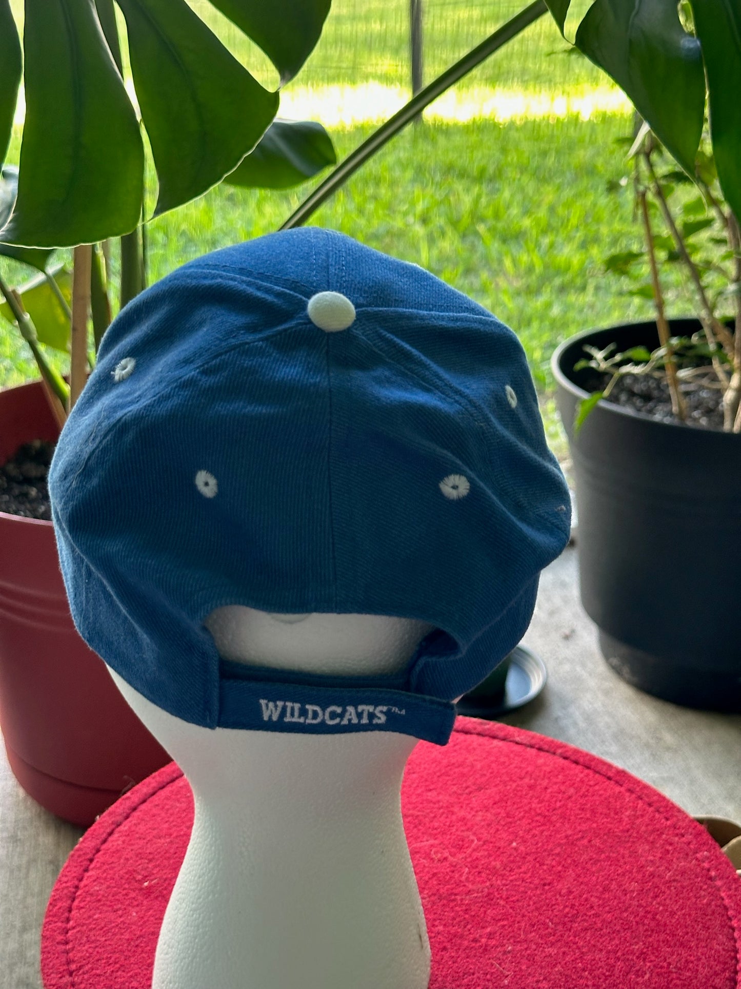 NCAA Kentucky Wildcat with Mascot Baseball Cap with Adjustable Velcro Backstrap