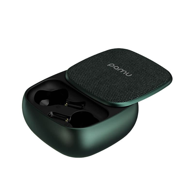 5.0 True Wireless Earbuds with Wireless Charging Case Pamu Slide