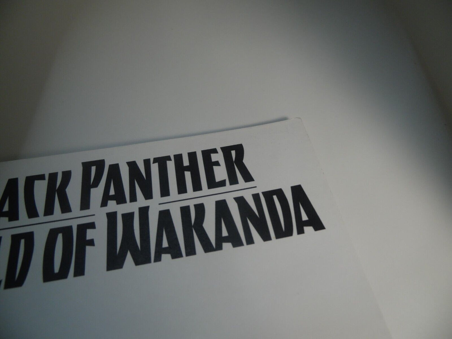 Black Panther: World of Wakanda (2016) #1 YOU DESERVED A WAKANDA THAT CHERISHED